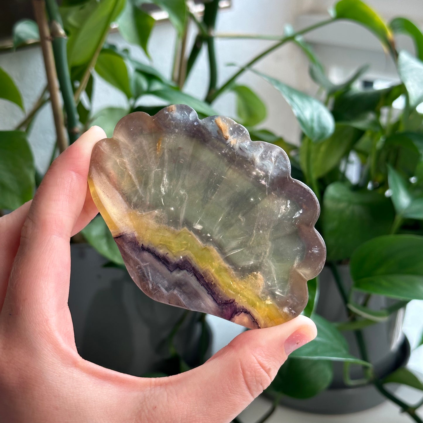 Fluorite Bowls