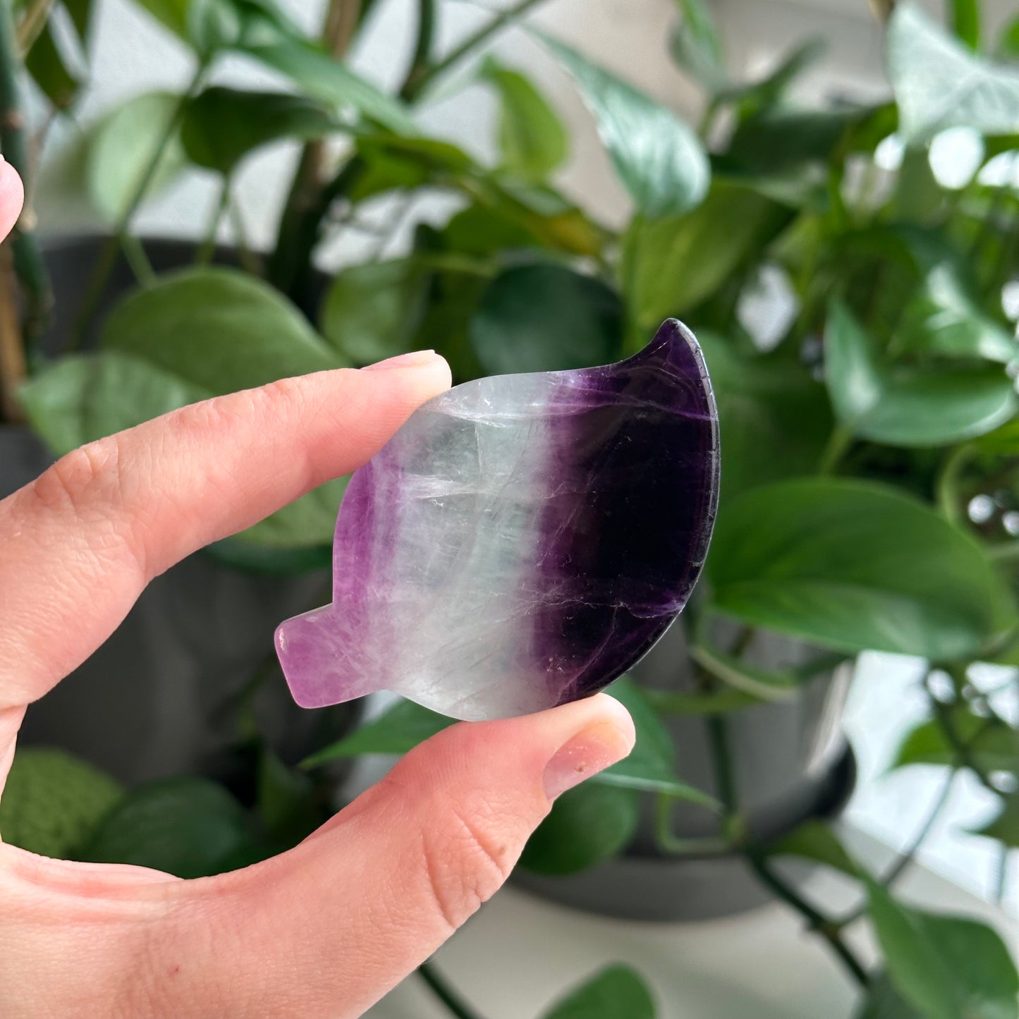 Fluorite Bowls