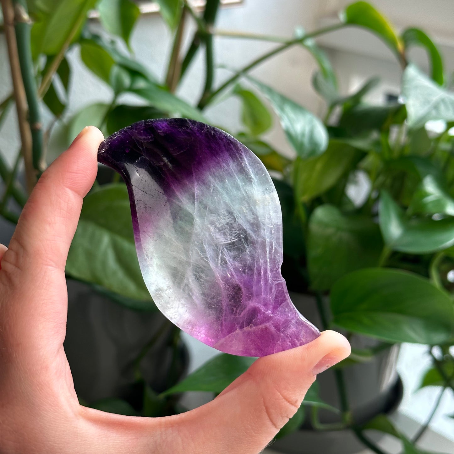 Fluorite Bowls