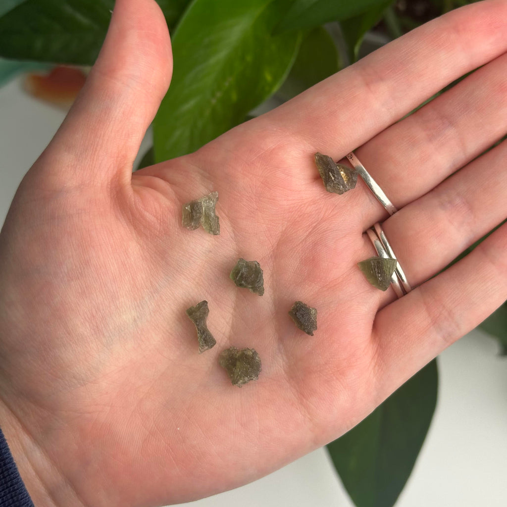 Mini Intuitively Chosen Moldavite Specimens