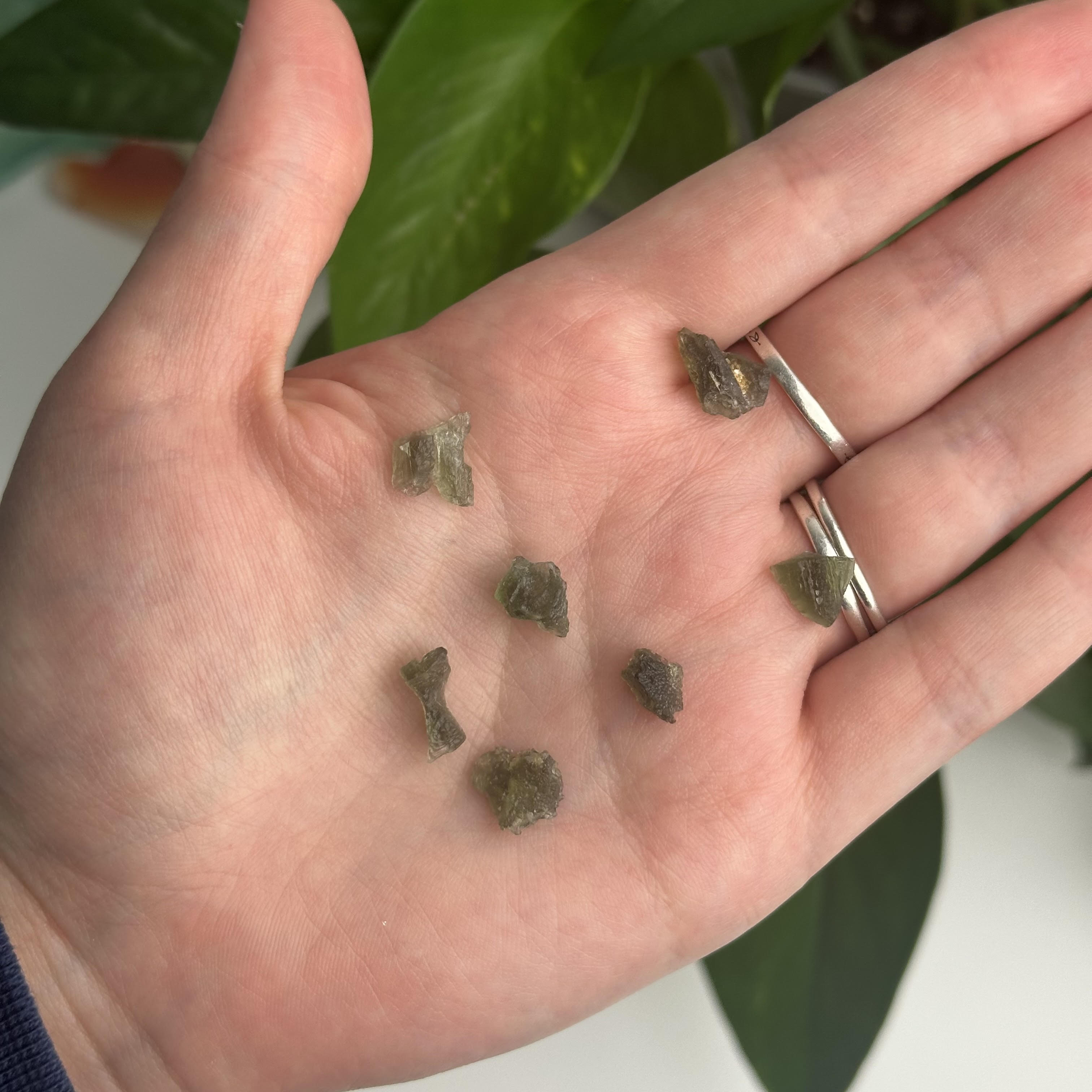 Mini Intuitively Chosen Moldavite Specimens