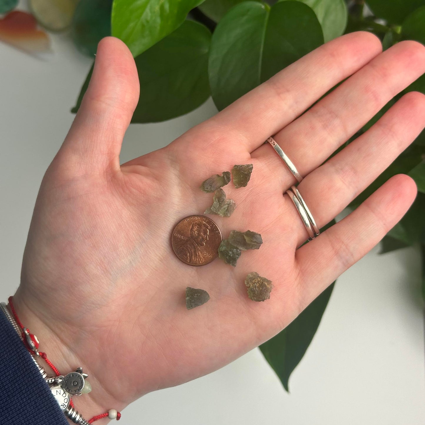 Mini Intuitively Chosen Moldavite Specimens