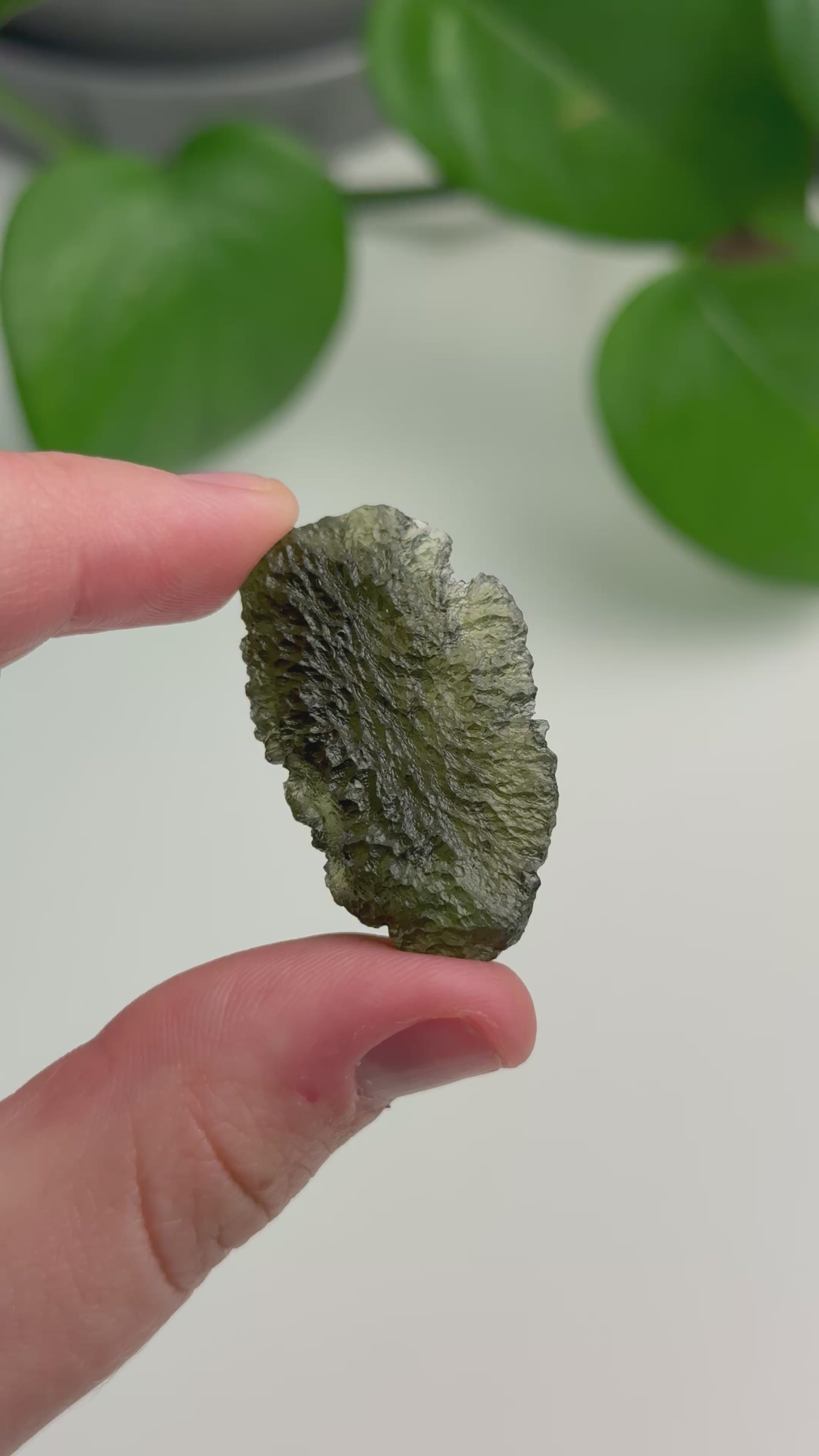 Museum Grade Maly Chlum Moldavite Specimen 7.97 grams