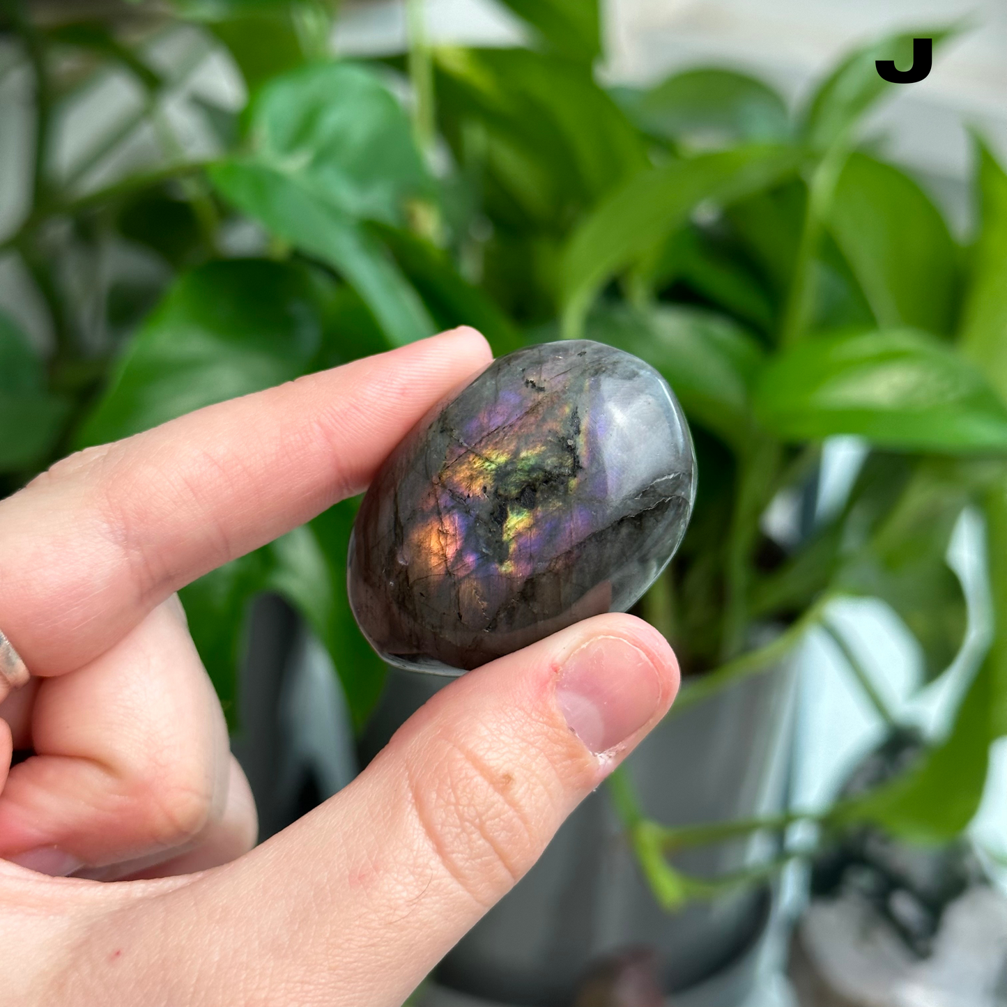 Sunset/Purple Flash Labradorite Palmstones