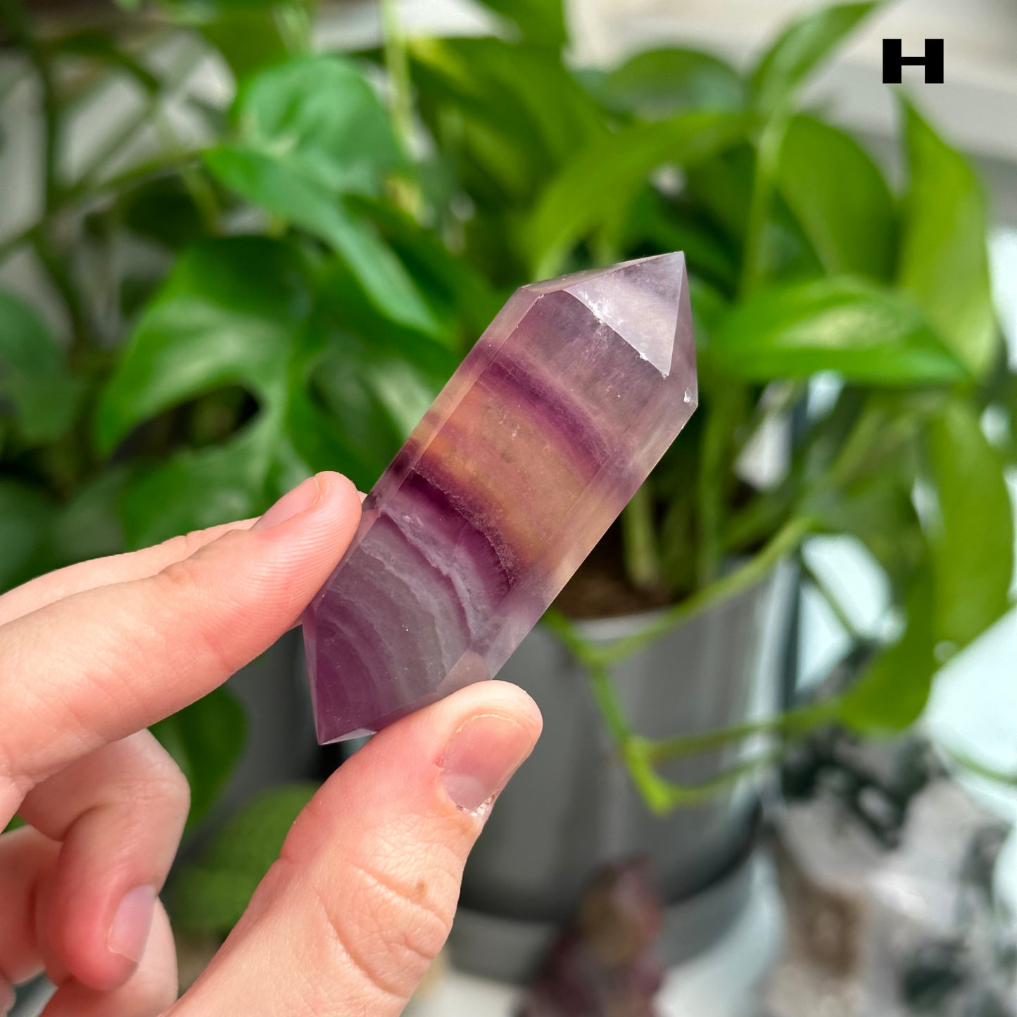 Candy Fluorite DTs