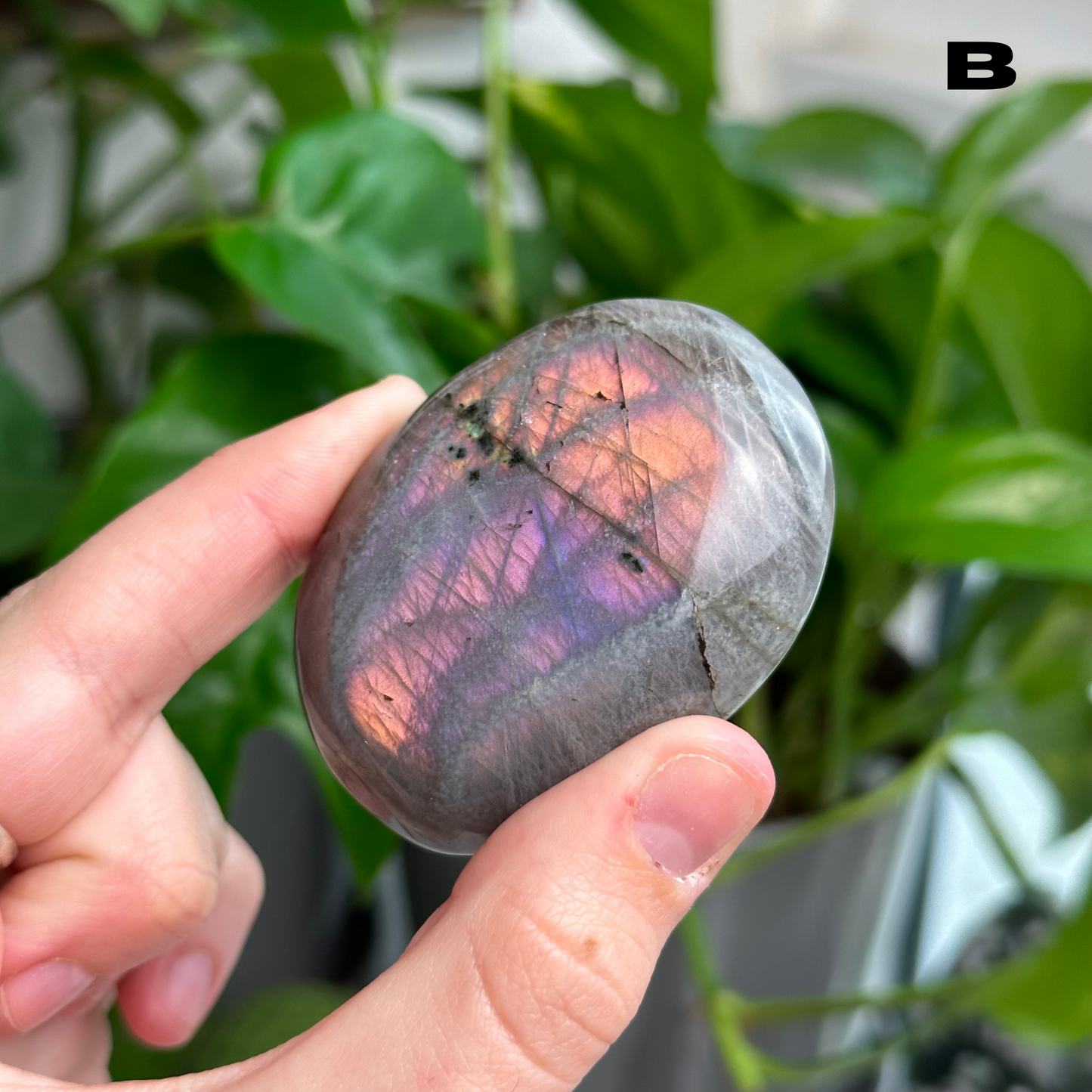 Sunset/Purple Flash Labradorite Palmstones