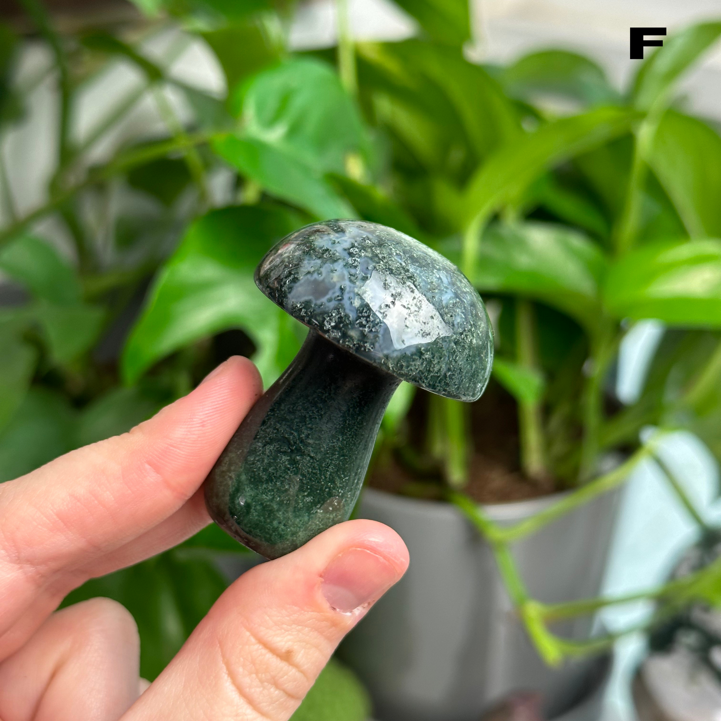 Moss Agate Mushrooms