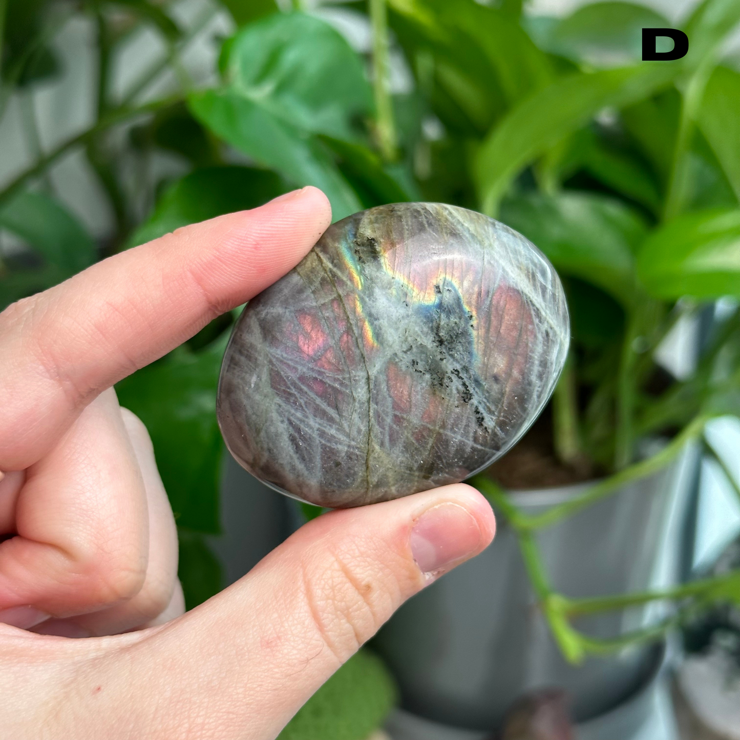 Sunset/Purple Flash Labradorite Palmstones