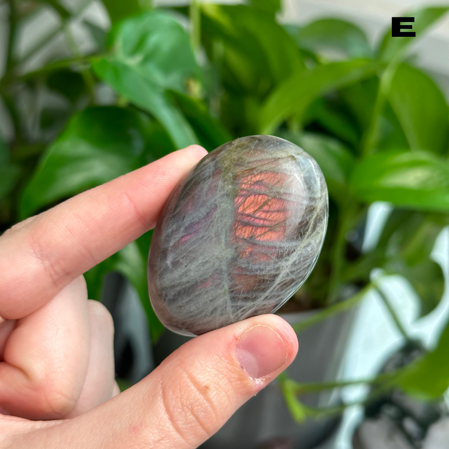 Sunset/Purple Flash Labradorite Palmstones