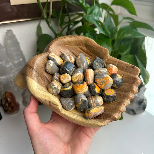 Bumblebee Jasper Tumble