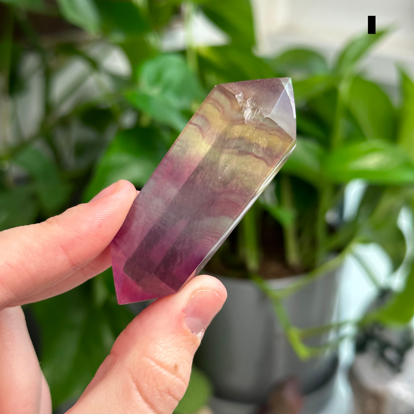 Candy Fluorite DTs