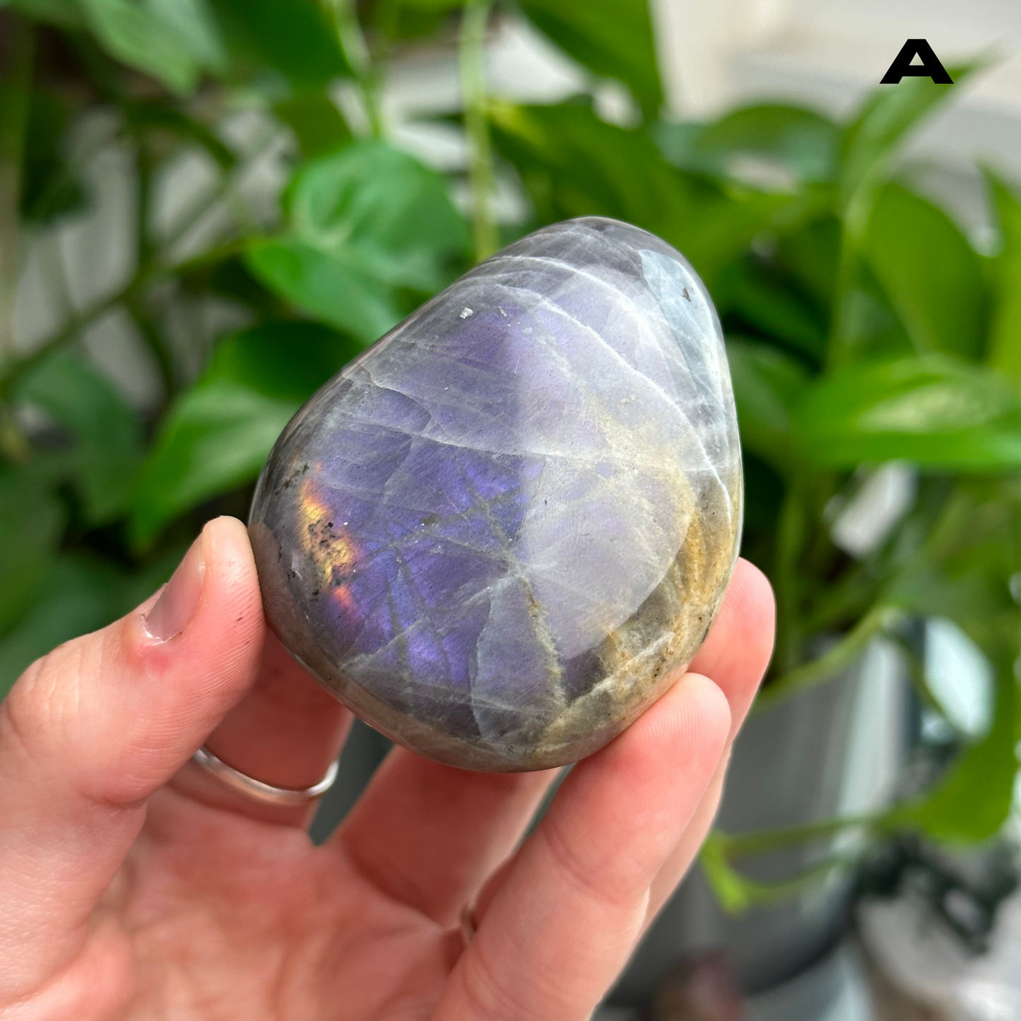 Sunset/Purple Flash Labradorite Palmstones