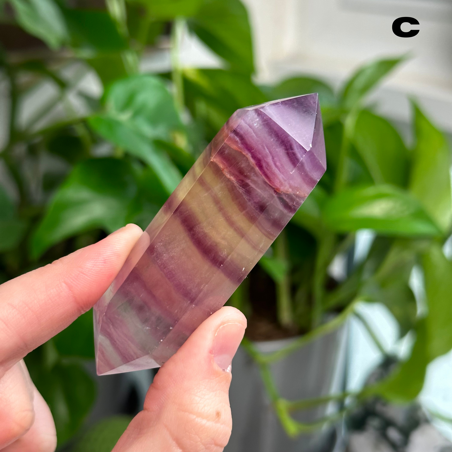 Candy Fluorite DTs