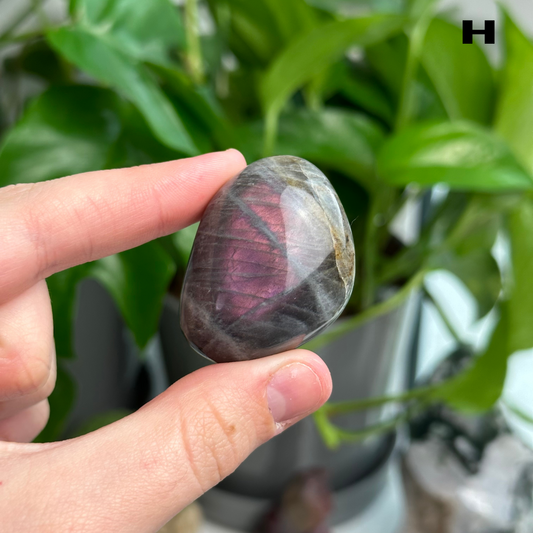 Sunset/Purple Flash Labradorite Palmstones