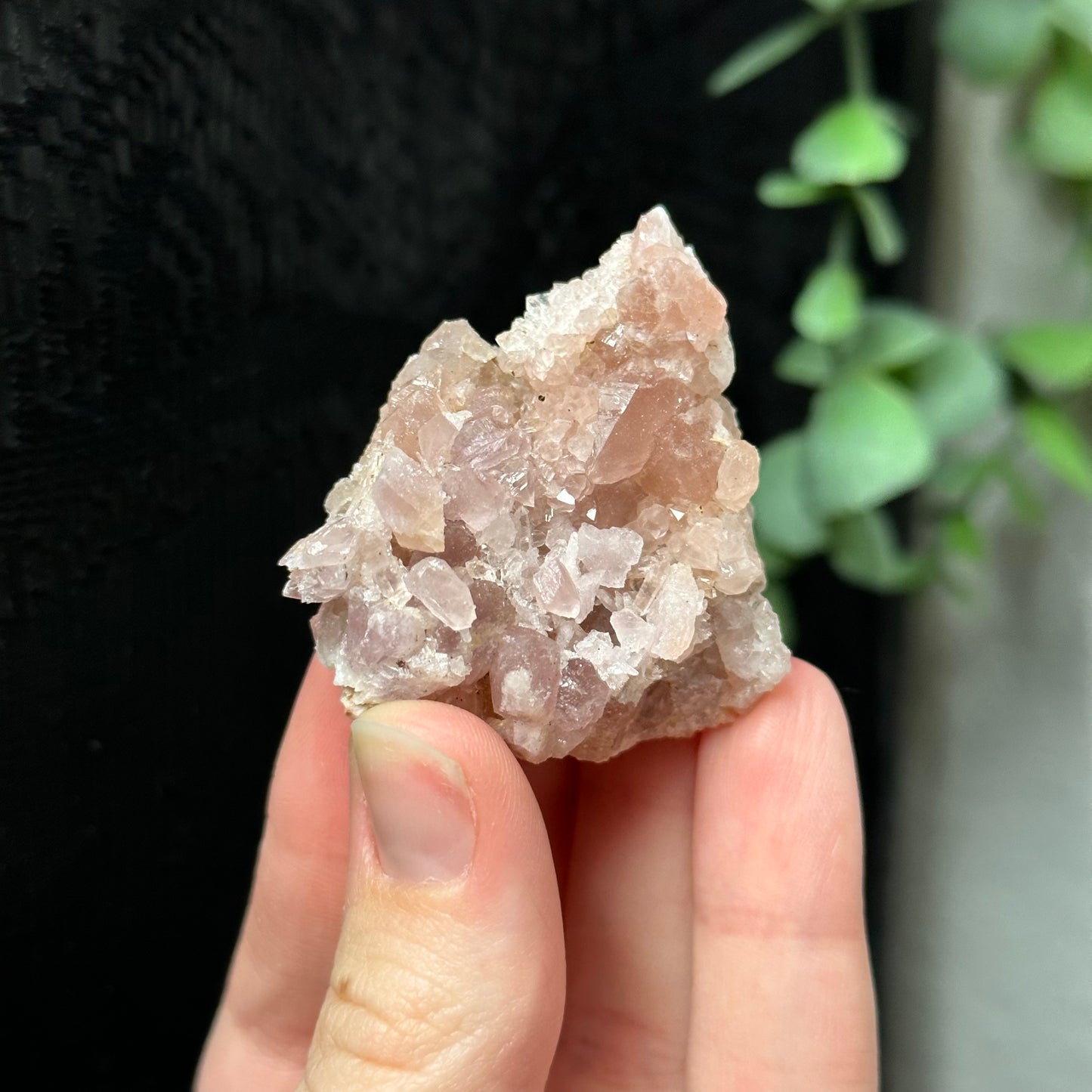 Pink Amethyst Clusters