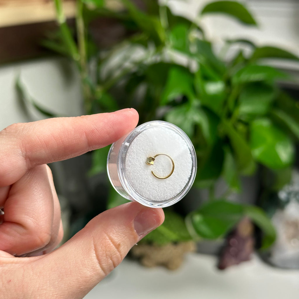 Moldavite Nose Hoop/Ring