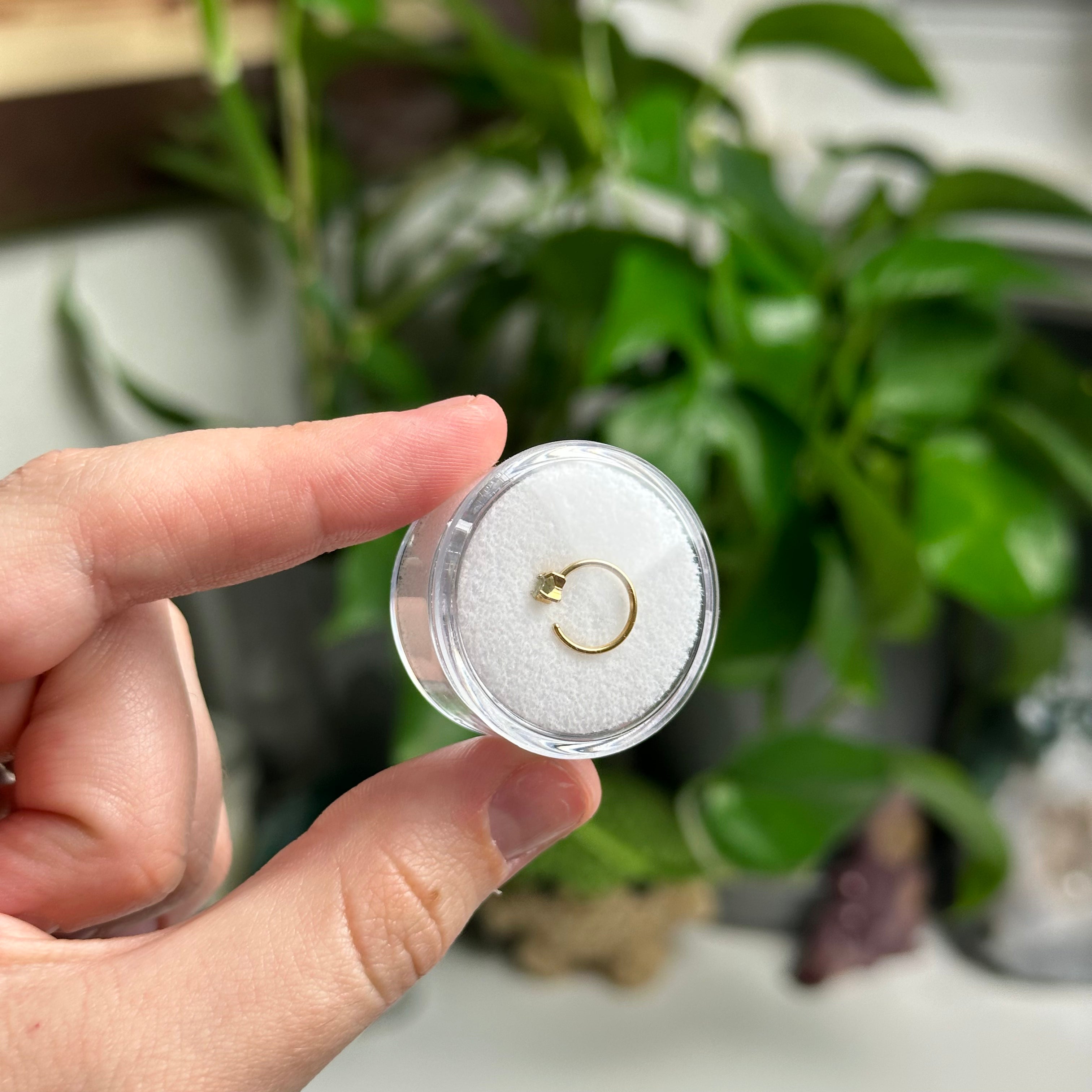 Moldavite Nose Hoop/Ring