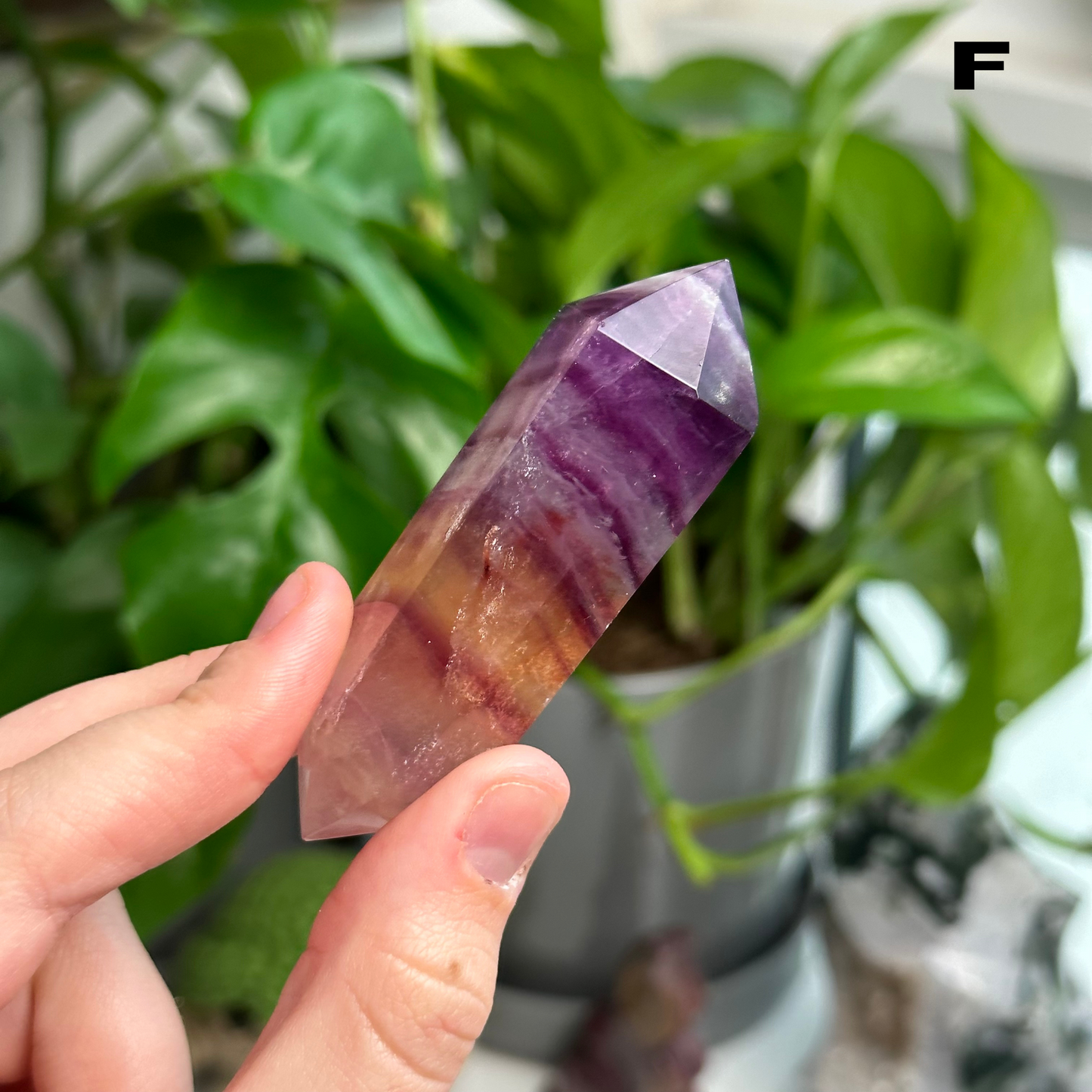 Candy Fluorite DTs