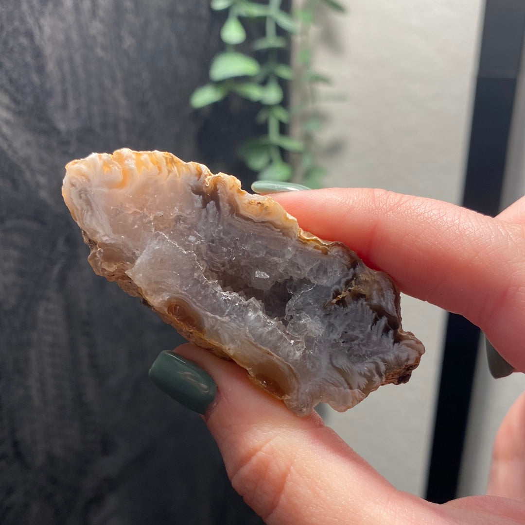 Oco Agate Geodes