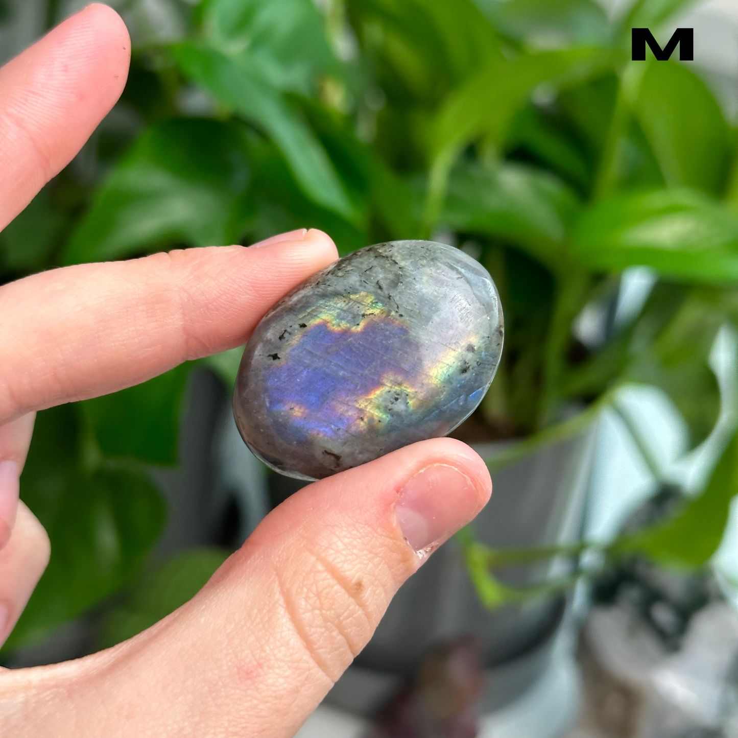 Sunset/Purple Flash Labradorite Palmstones