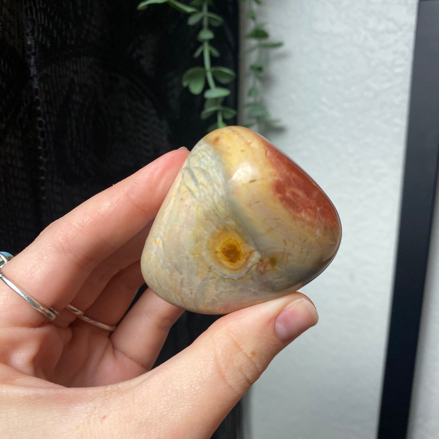 Polychrome Jasper Palmstones