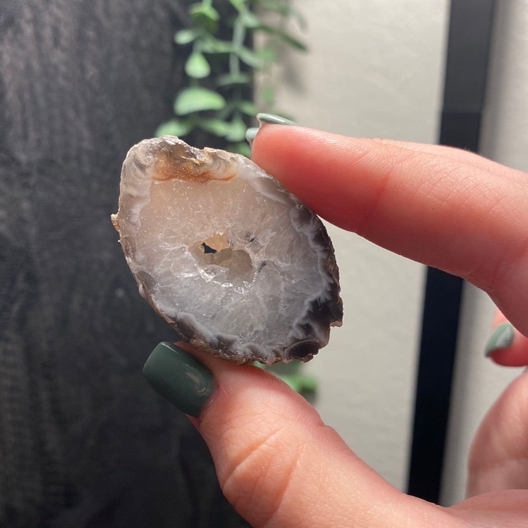 Oco Agate Geodes