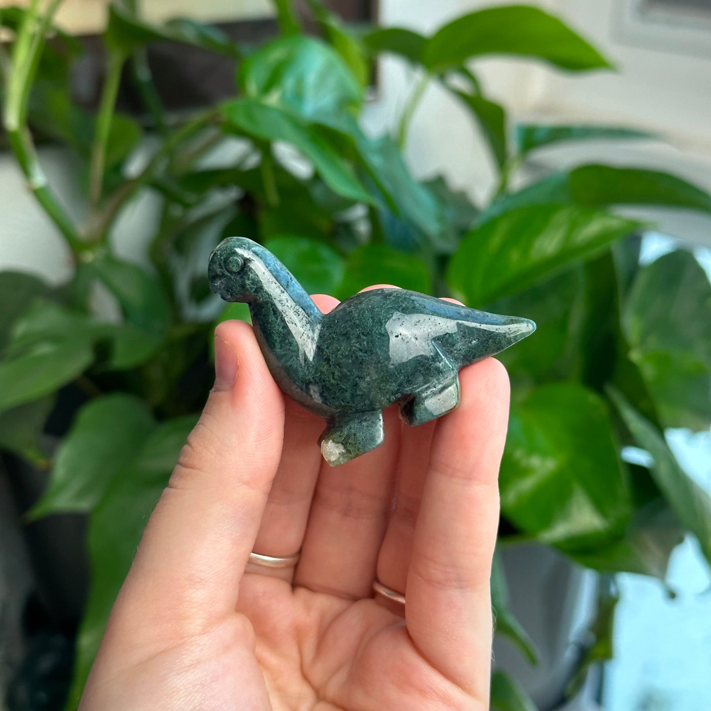 Moss Agate Dinosaurs