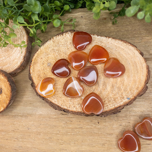 Carnelian Hearts