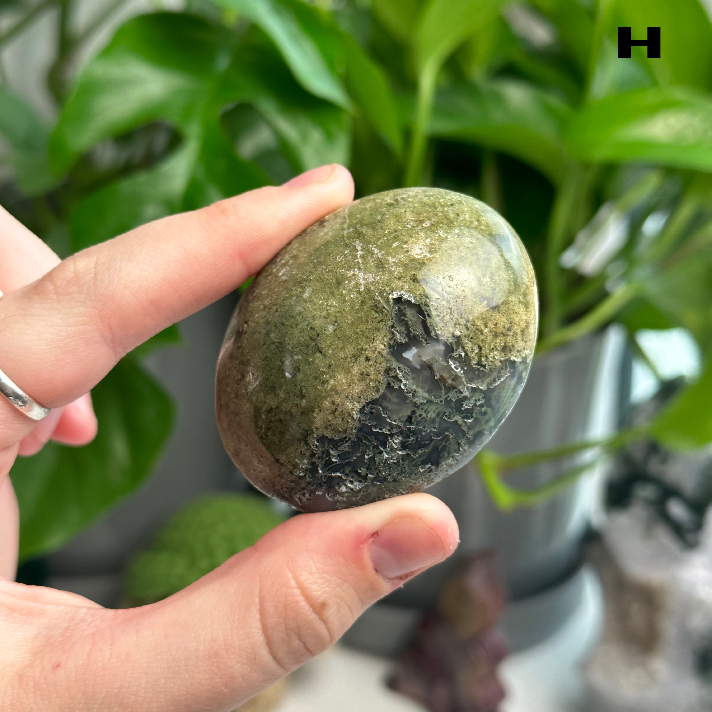 Moss Agate Palmstones