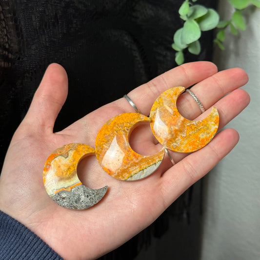 Bumblebee Jasper Moon