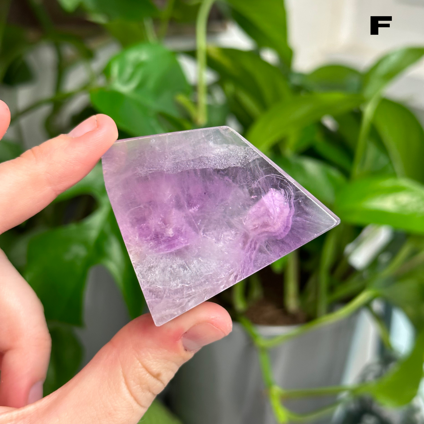 Fluorite Freeforms