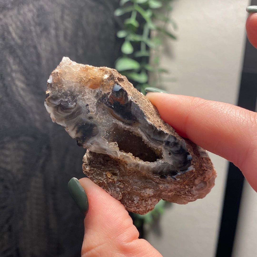 Oco Agate Geodes