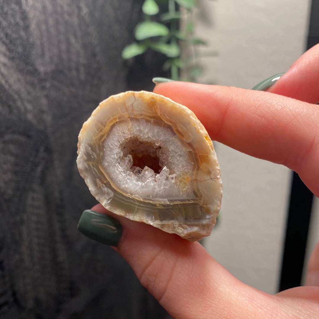 Oco Agate Geodes