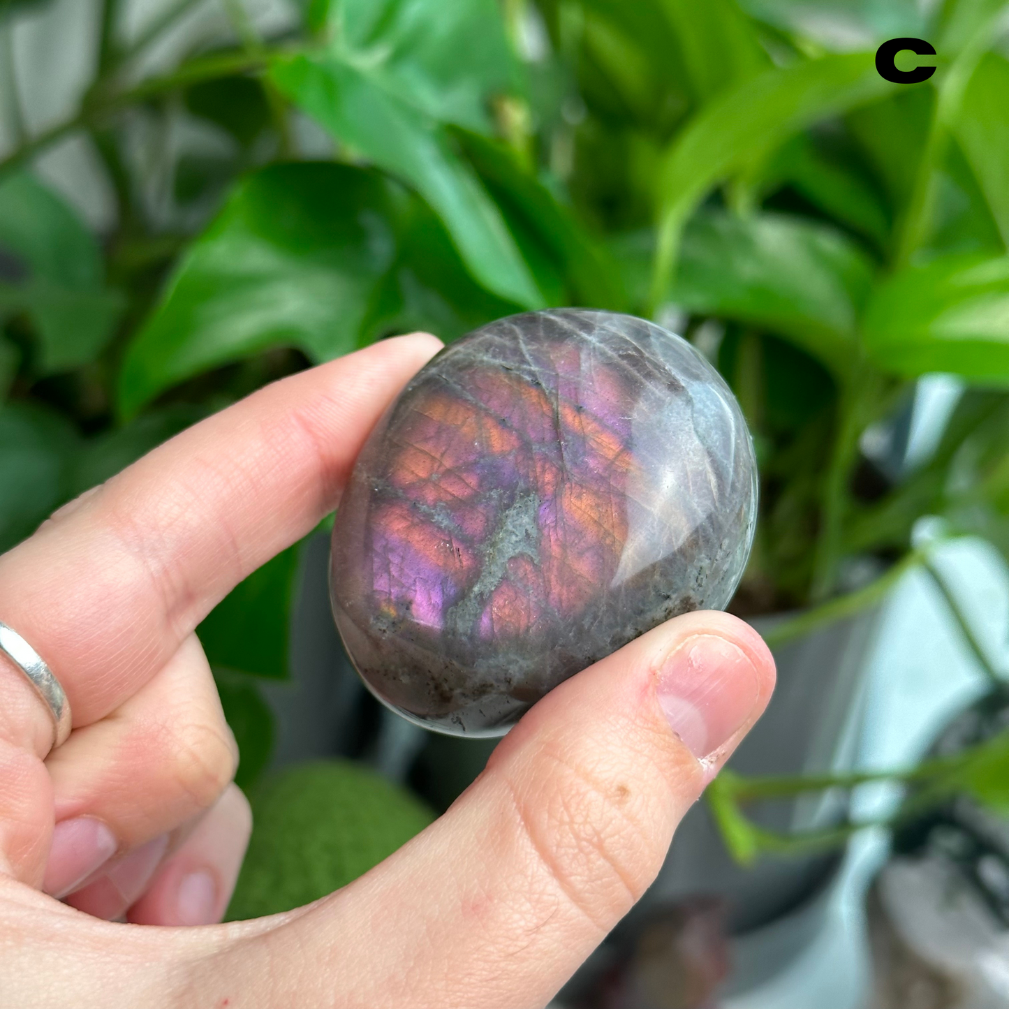 Sunset/Purple Flash Labradorite Palmstones