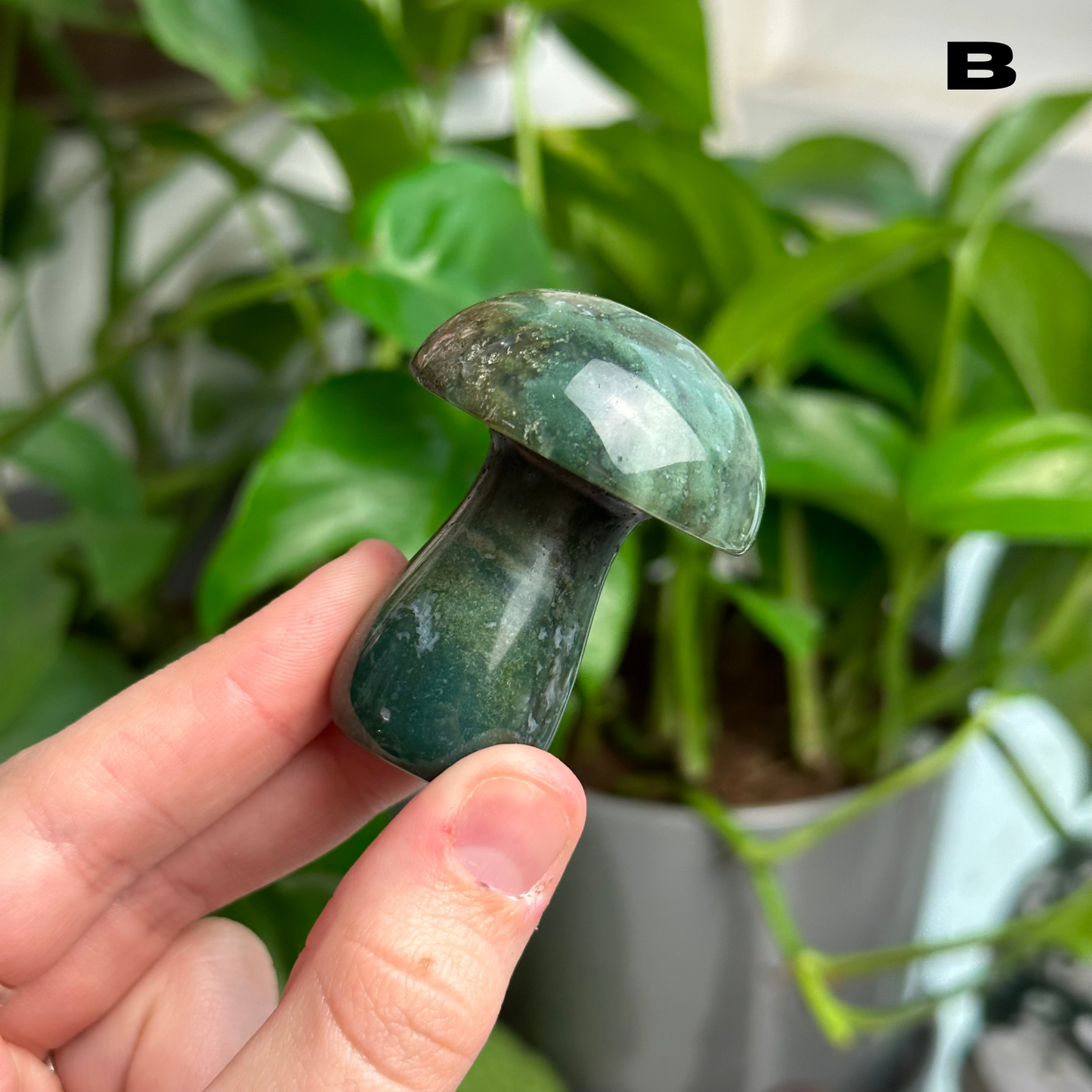 Moss Agate Mushrooms