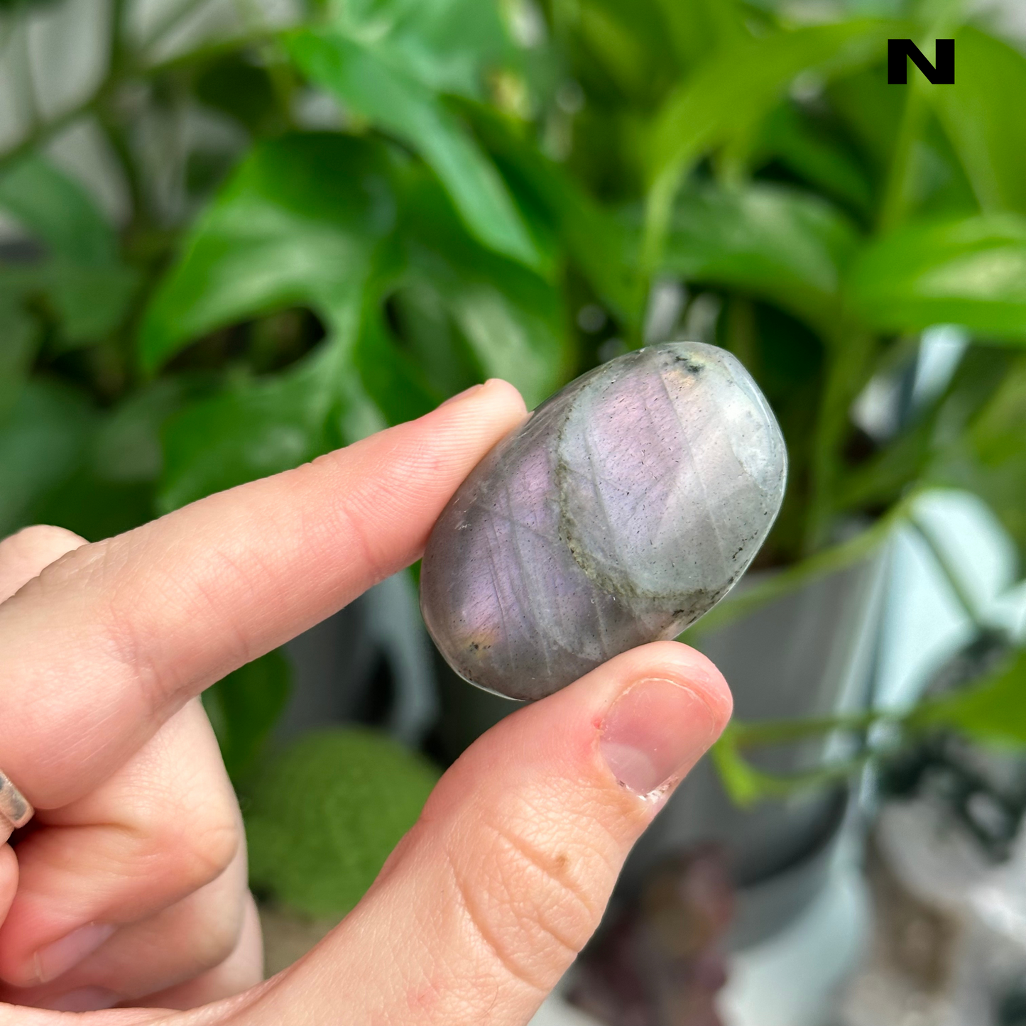 Sunset/Purple Flash Labradorite Palmstones