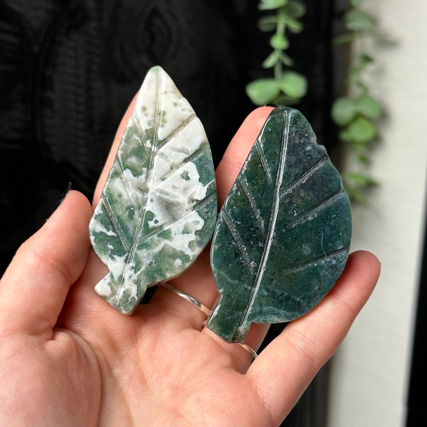 Moss Agate Leaf