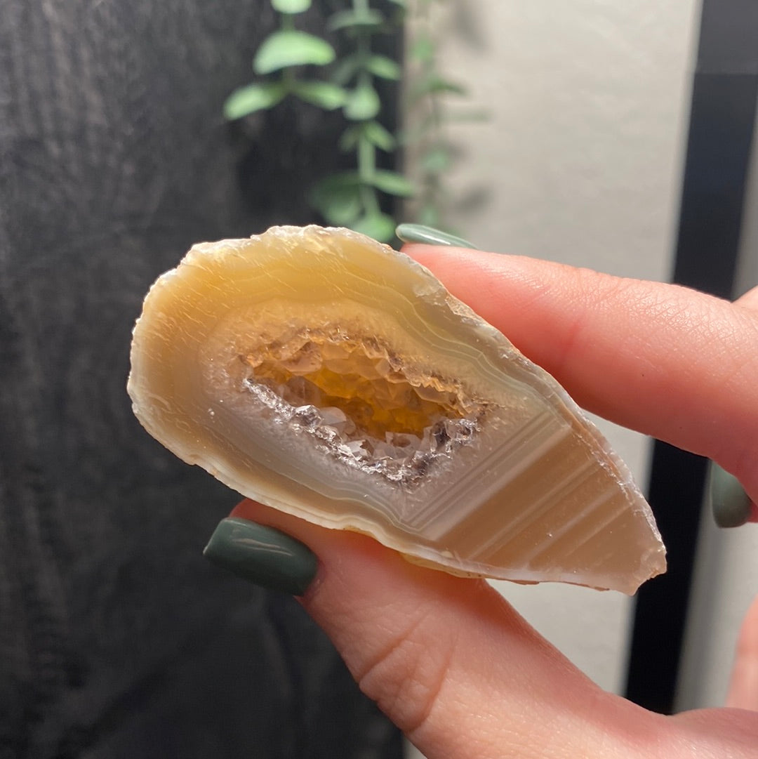 Oco Agate Geodes