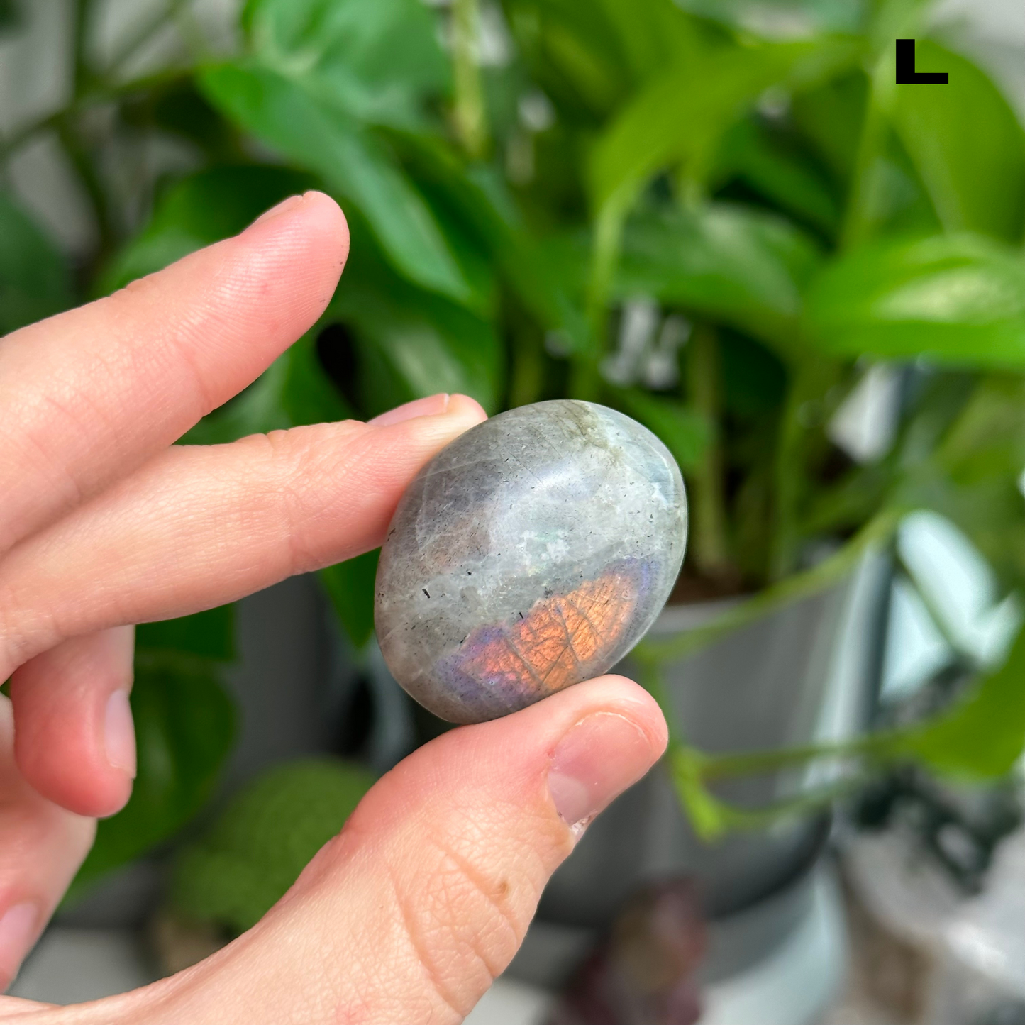 Sunset/Purple Flash Labradorite Palmstones