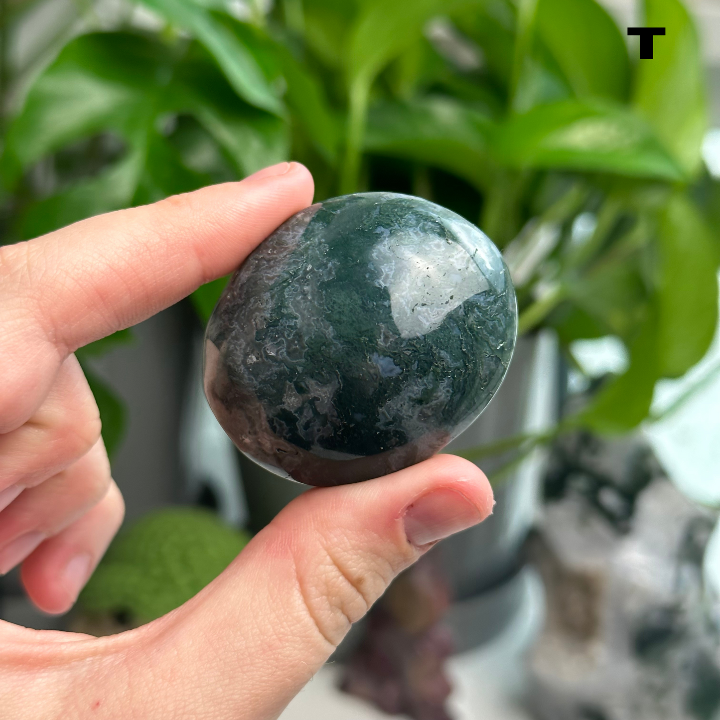 Moss Agate Palmstones