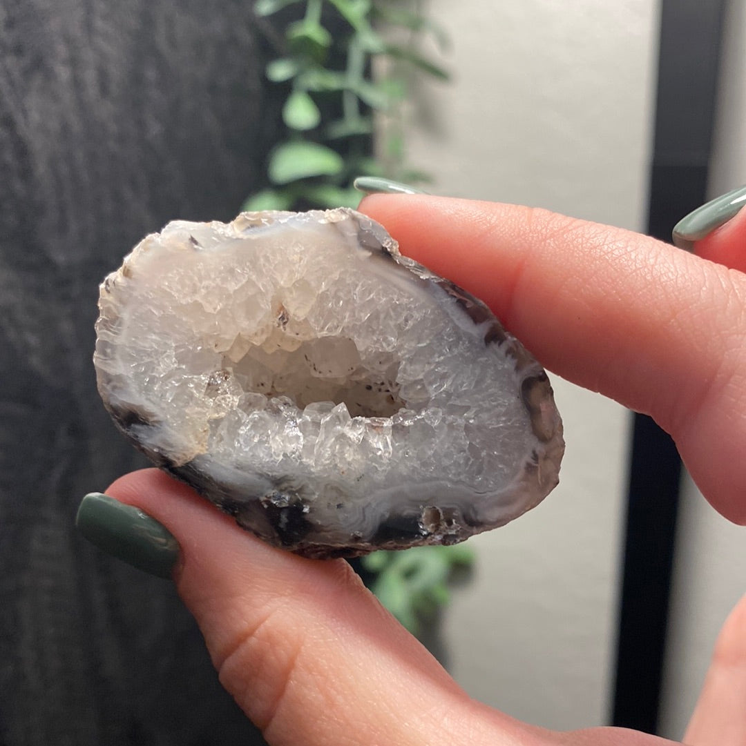 Oco Agate Geodes