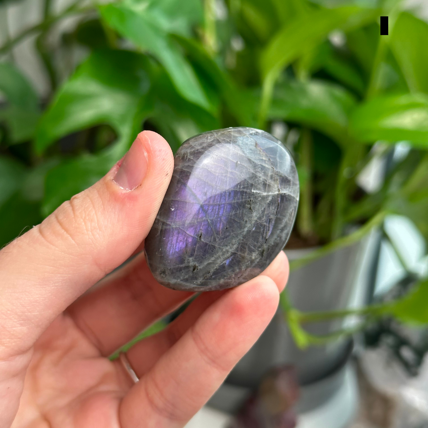 Sunset/Purple Flash Labradorite Palmstones