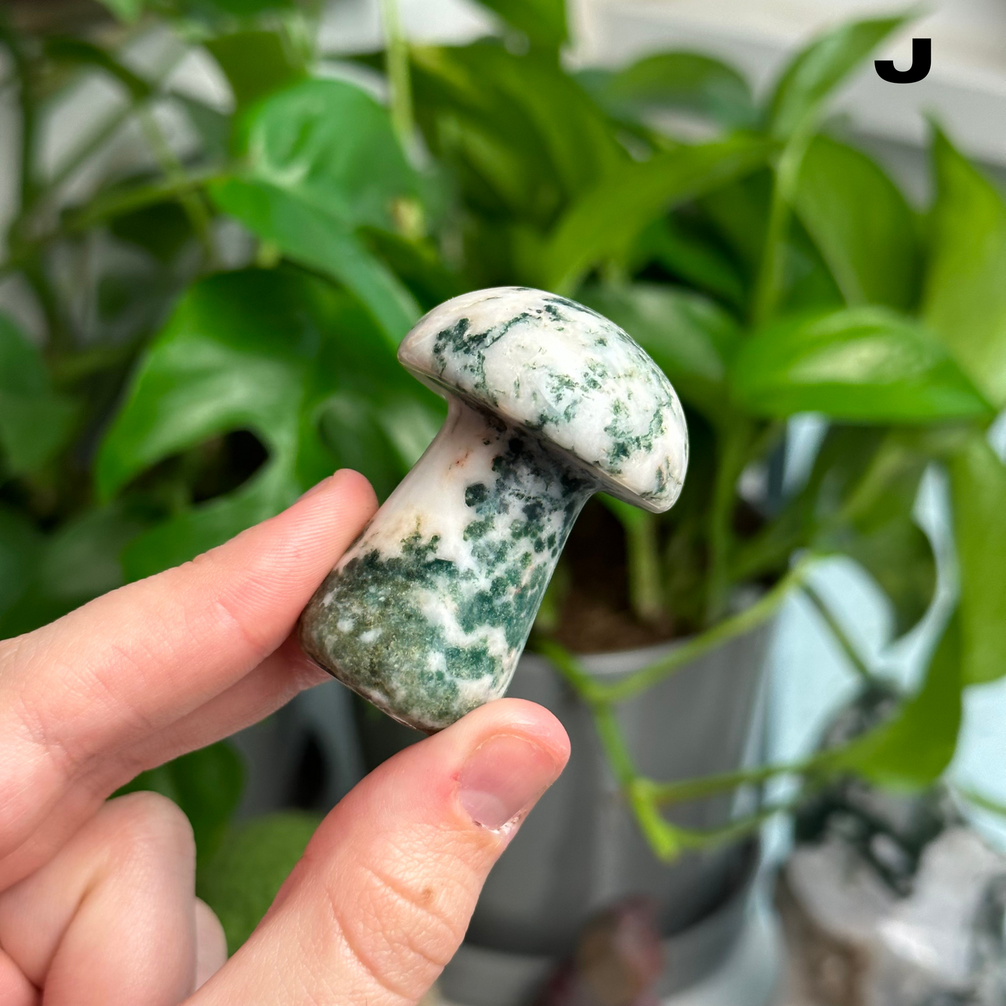 Moss Agate Mushrooms