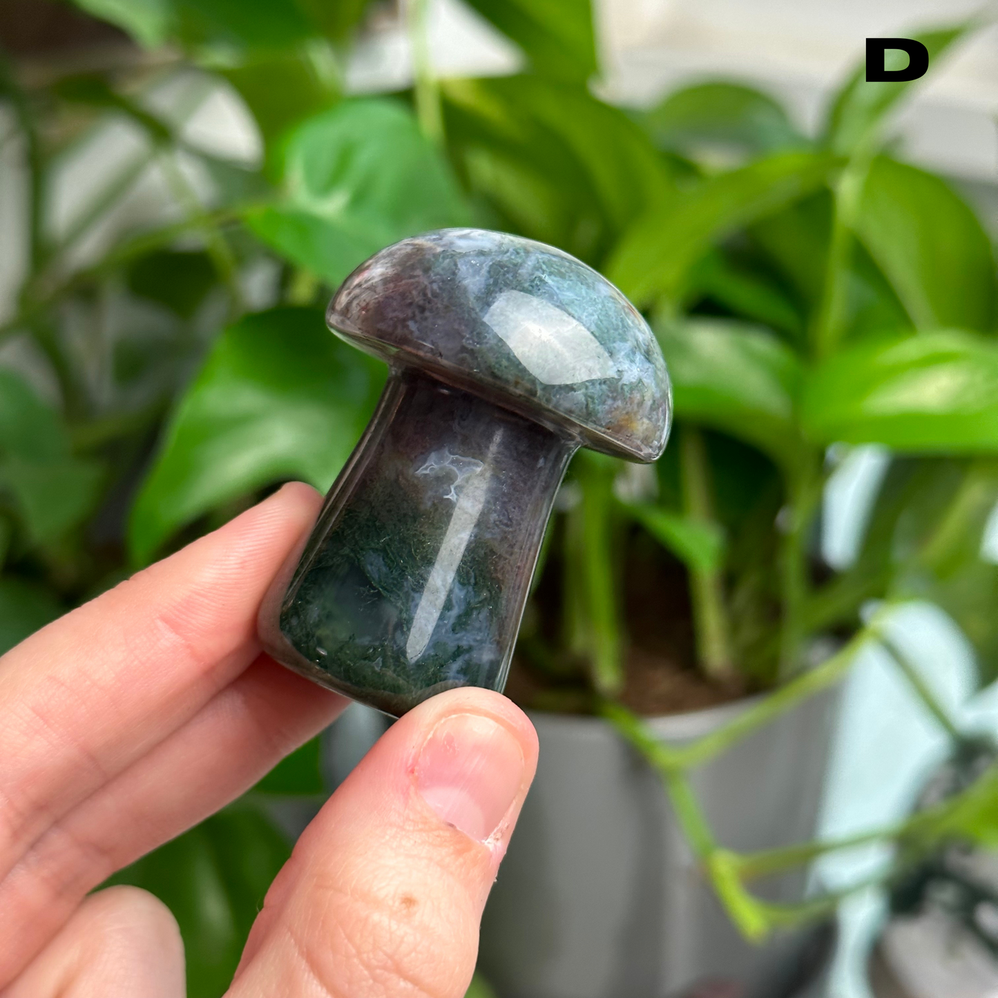 Moss Agate Mushrooms