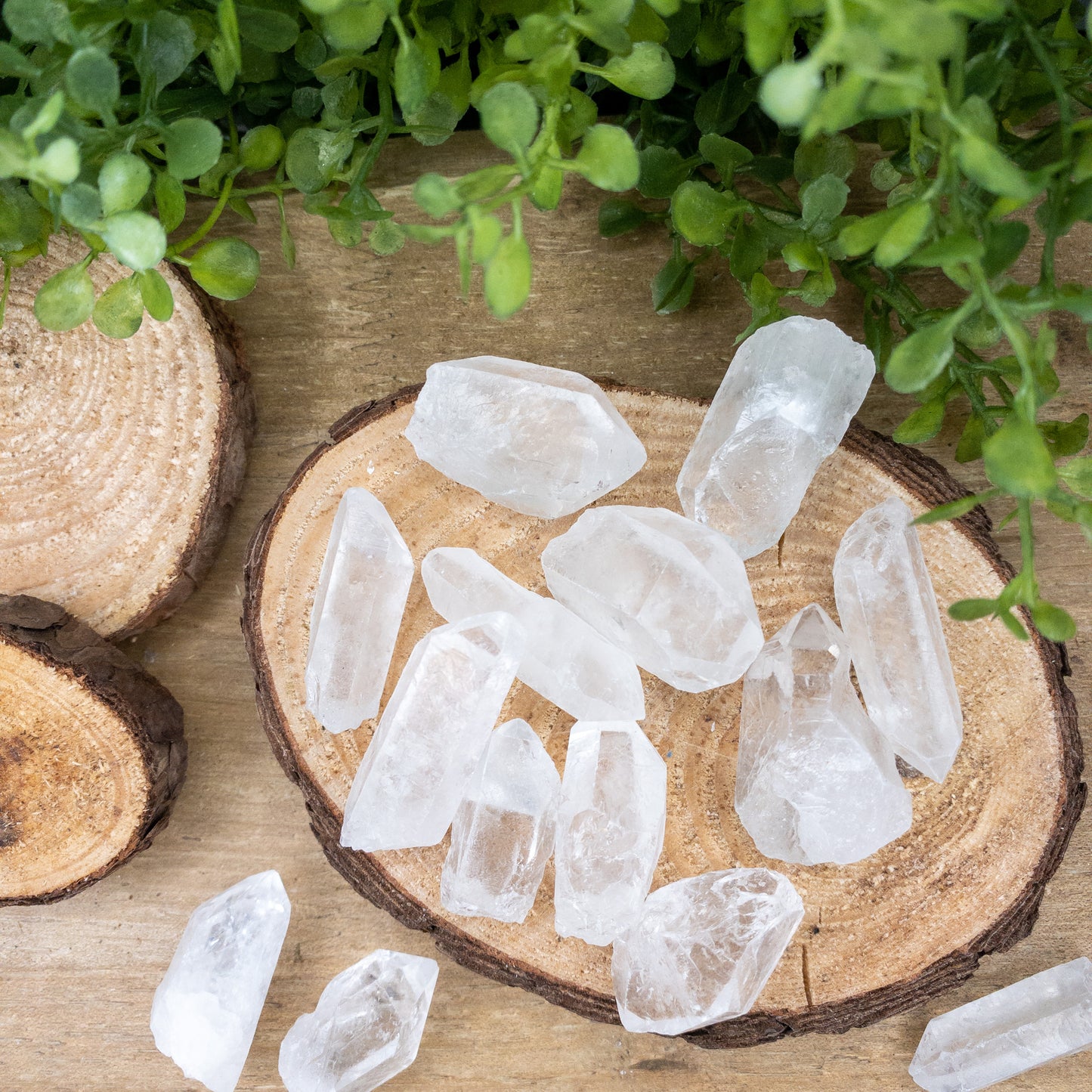 Raw Clear Quartz Points