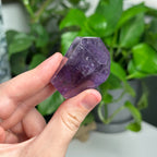 Amethyst & Citrine (Ametrine) Freeforms