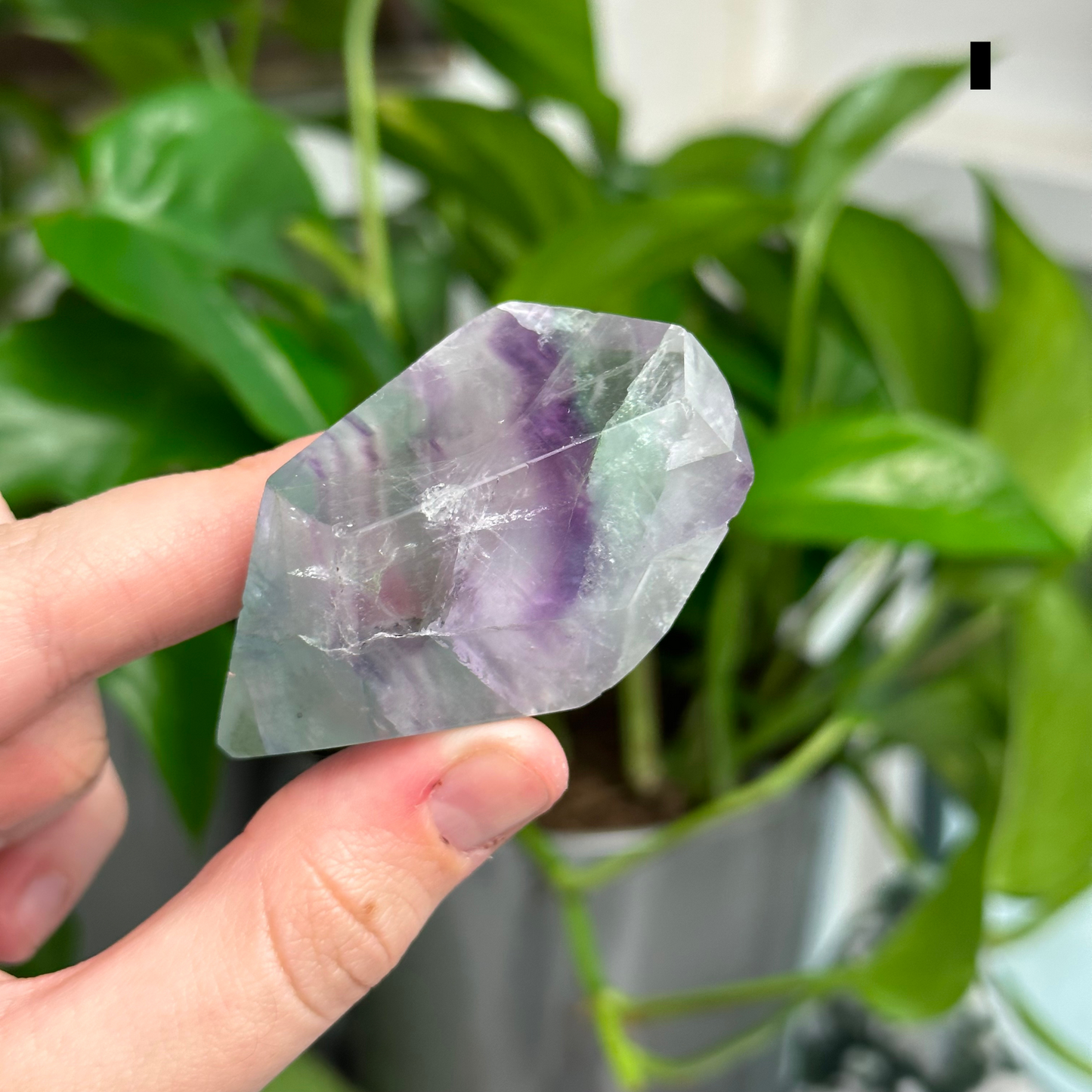 Fluorite Freeforms