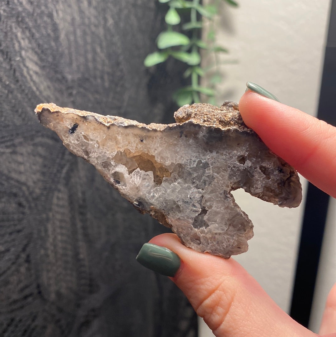 Oco Agate Geodes