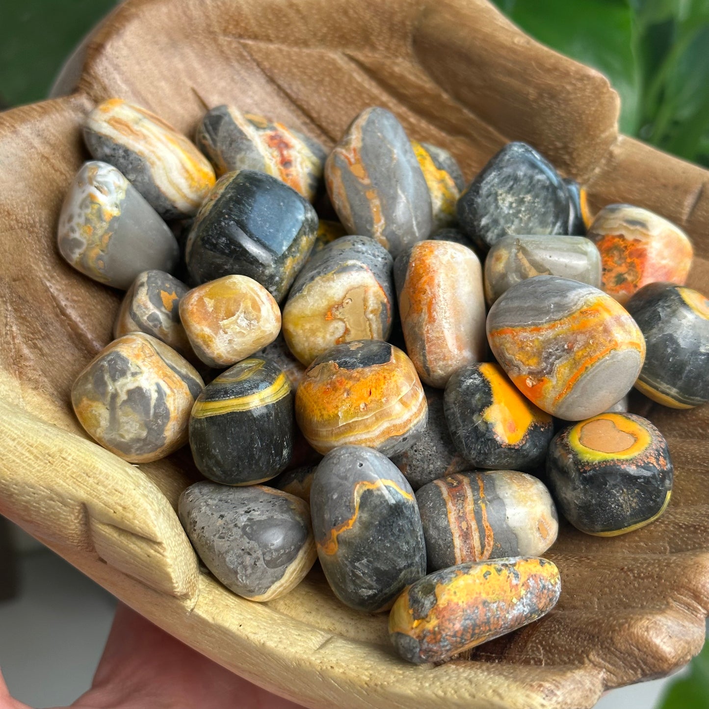 Bumblebee Jasper Tumble