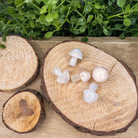 Flower Agate Mushrooms